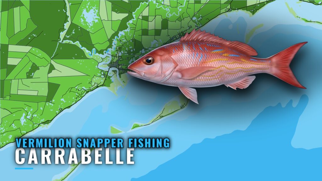 Vermilion snapper fishing out of Carrabelle: reefs and runs