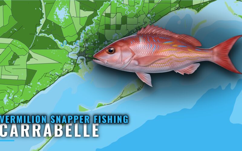 Vermilion snapper fishing out of Carrabelle: reefs and runs