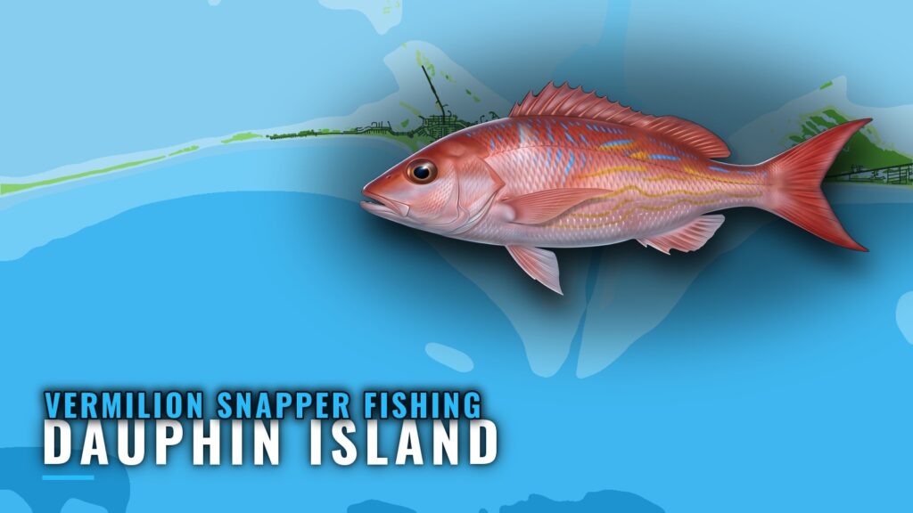 Vermilion Snapper Fishing out of Dauphin Island, Alabama
