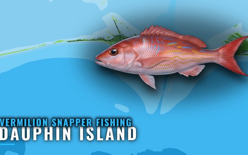 Vermilion Snapper Fishing out of Dauphin Island, Alabama