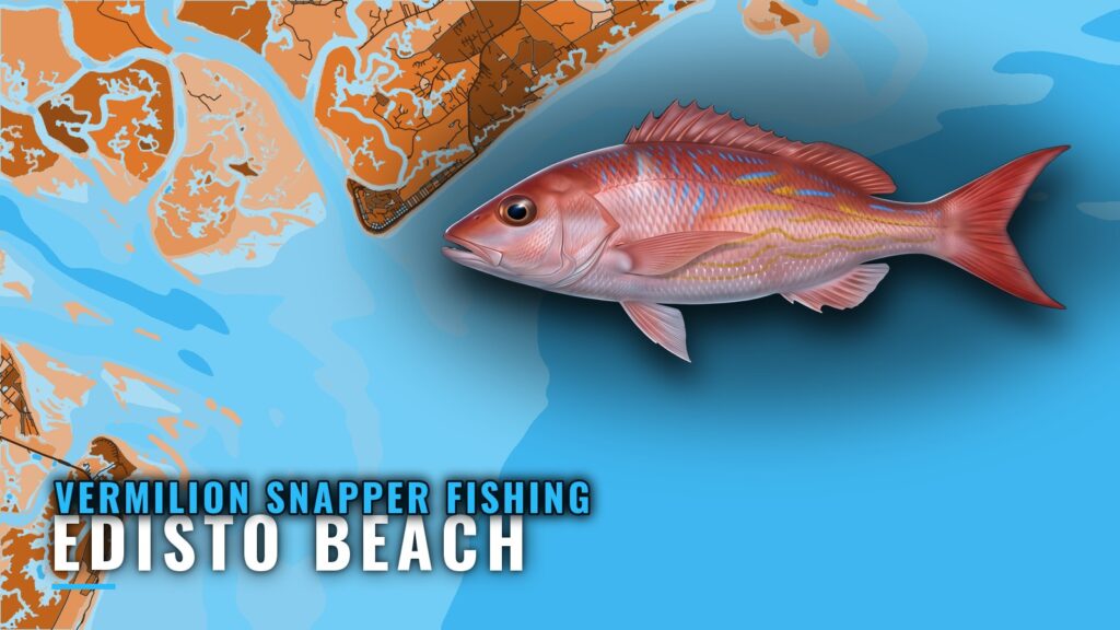 Vermilion Snapper Fishing out of Edisto Beach: Where to Run
