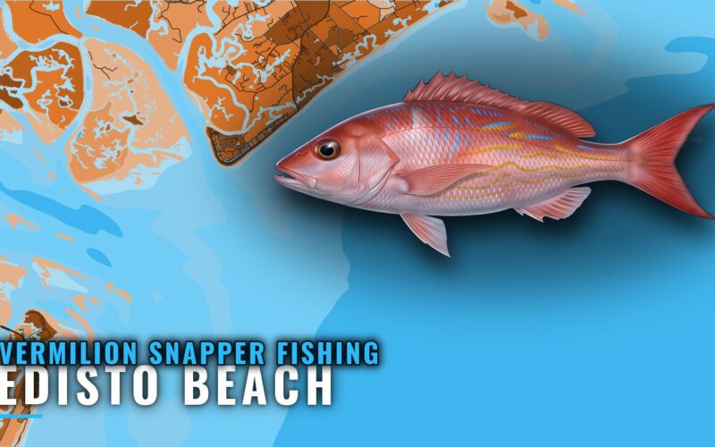 Vermilion Snapper Fishing out of Edisto Beach: Where to Run