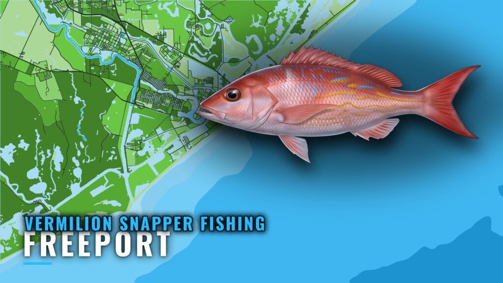 Vermilion Snapper Fishing Out of Freeport: Where to Run