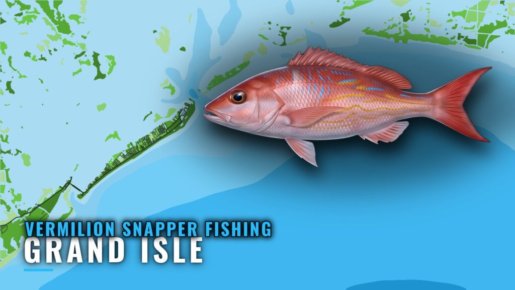 Vermilion Snapper Fishing Out of Grand Isle: The Grounds