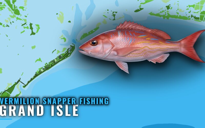 Vermilion Snapper Fishing Out of Grand Isle: The Grounds