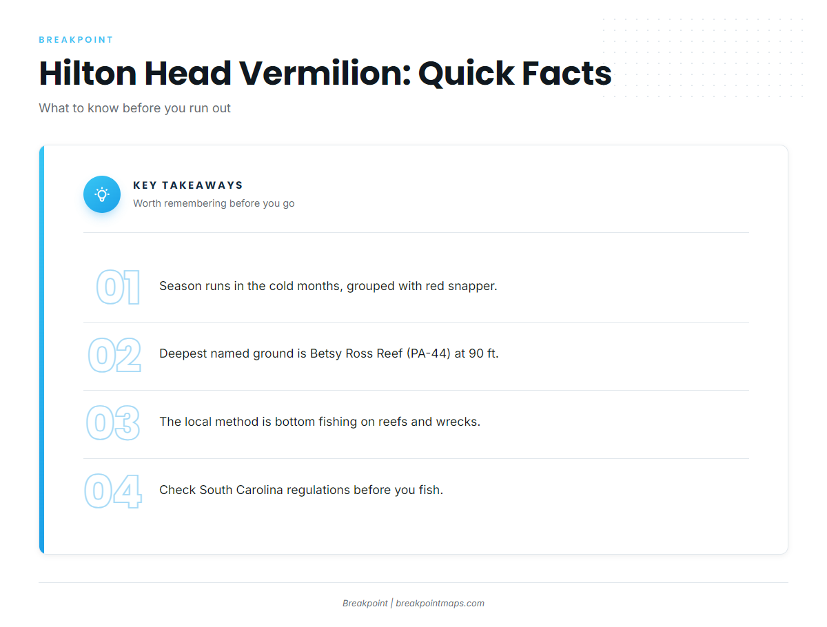 FAQ about vermilion snapper out of Hilton Head
