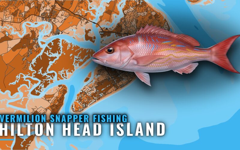 Vermilion Snapper Fishing Out of Hilton Head Island: Reefs