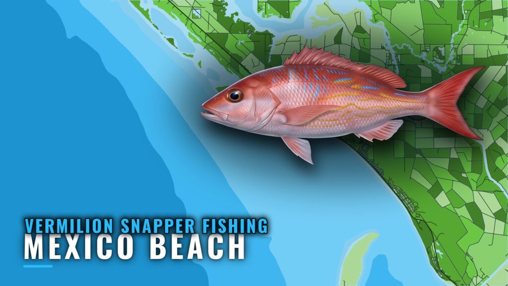 Vermilion Snapper Fishing out of Mexico Beach, Florida
