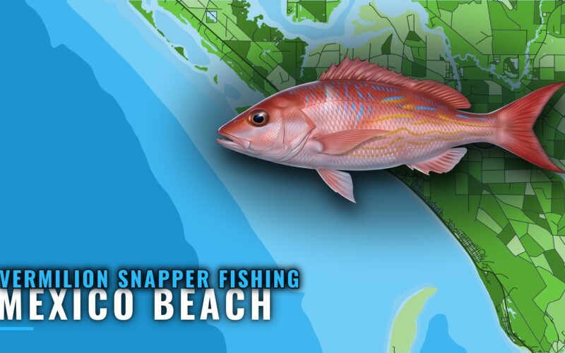 Vermilion Snapper Fishing out of Mexico Beach, Florida