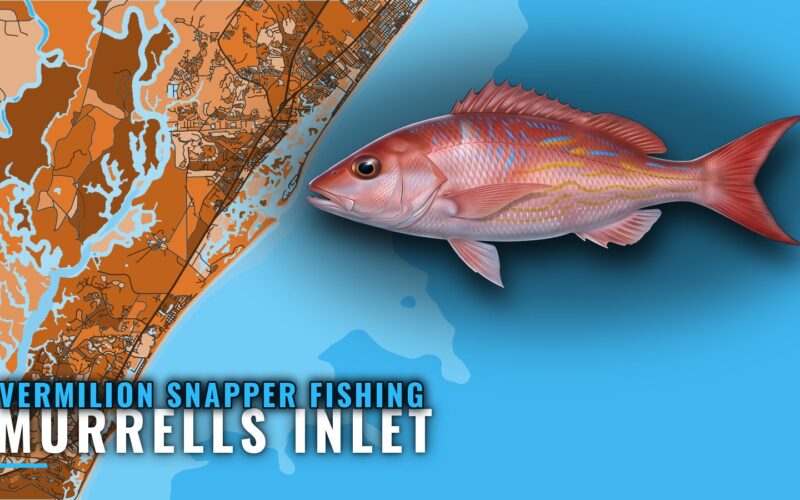 Vermilion Snapper Fishing out of Murrells Inlet: Reefs