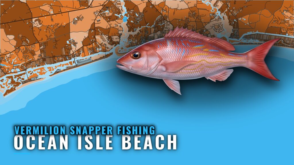 Vermilion Snapper Fishing out of Ocean Isle Beach, NC