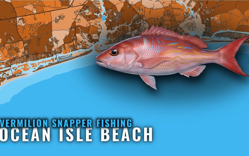 Vermilion Snapper Fishing out of Ocean Isle Beach, NC