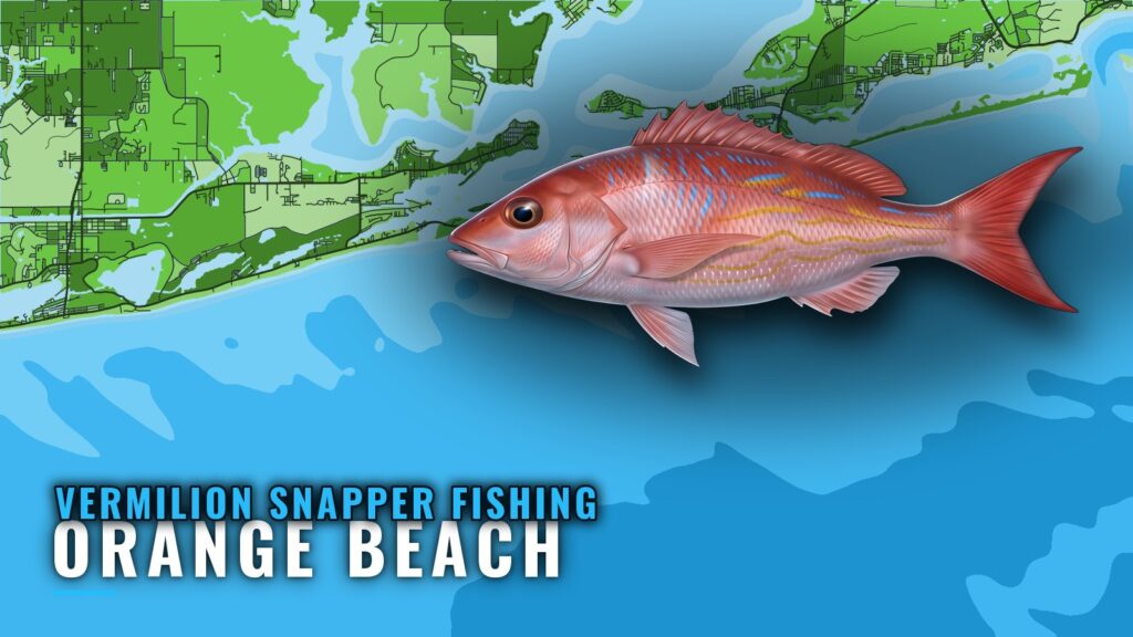 Vermilion Snapper Fishing Out of Orange Beach, AL