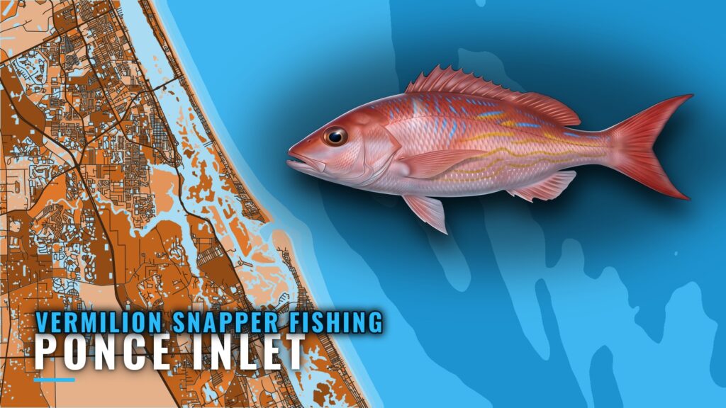 Vermilion Snapper Fishing Out of Ponce Inlet: Reef Sites