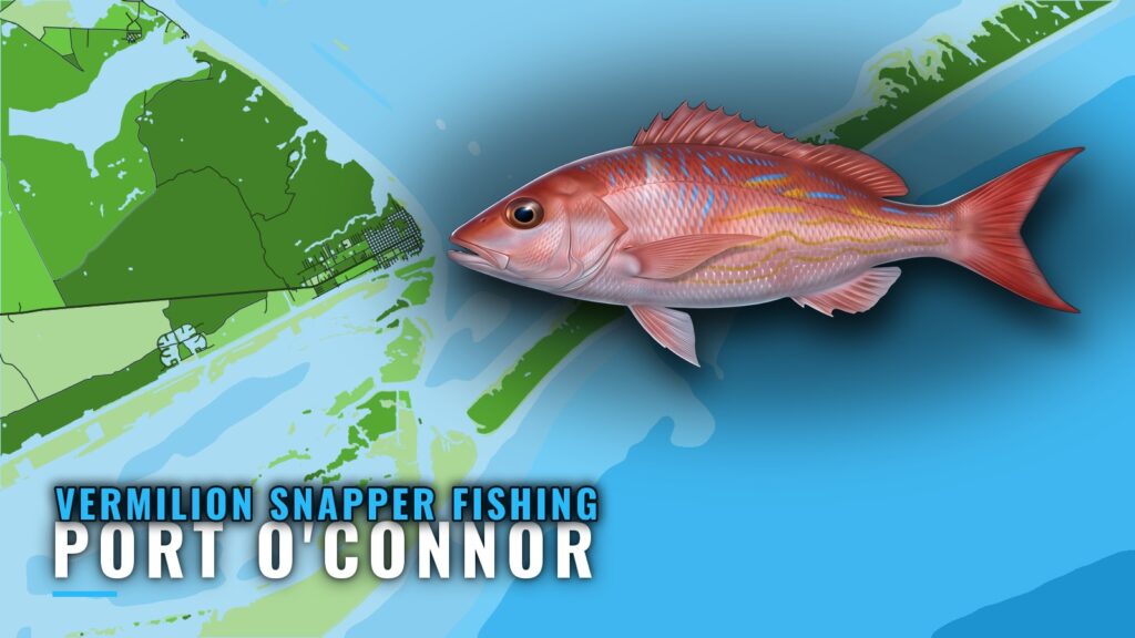 Vermilion Snapper Fishing Out of Port O’Connor: Two Reefs