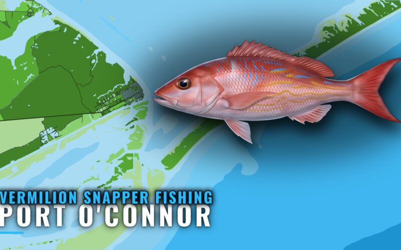 Vermilion Snapper Fishing Out of Port O’Connor: Two Reefs