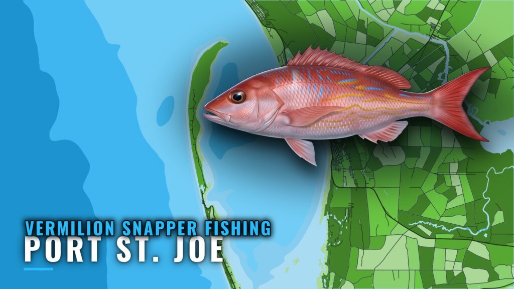 Vermilion snapper fishing out of Port St. Joe: grounds, rig