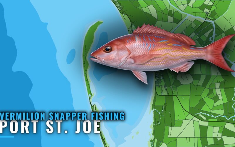 Vermilion snapper fishing out of Port St. Joe: grounds, rig