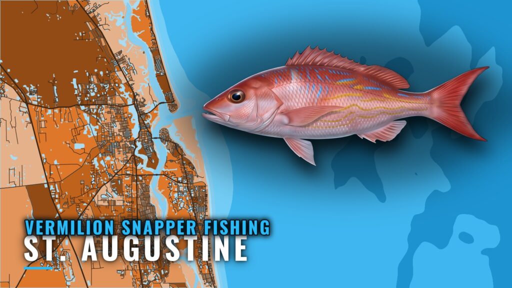Vermilion Snapper Fishing Out of St. Augustine: The Reefs