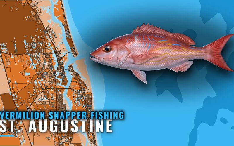 Vermilion Snapper Fishing Out of St. Augustine: The Reefs