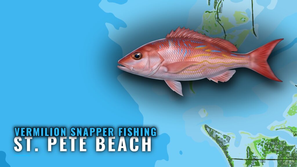 Vermilion snapper fishing out of St. Pete Beach, mapped