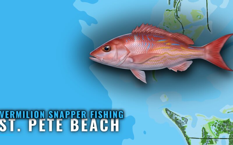 Vermilion snapper fishing out of St. Pete Beach, mapped