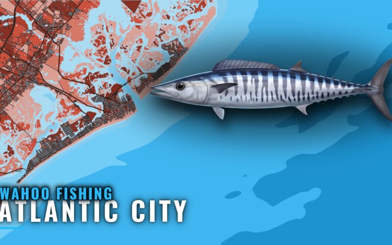 Wahoo Fishing Out of Atlantic City: Reef GPS and Charters