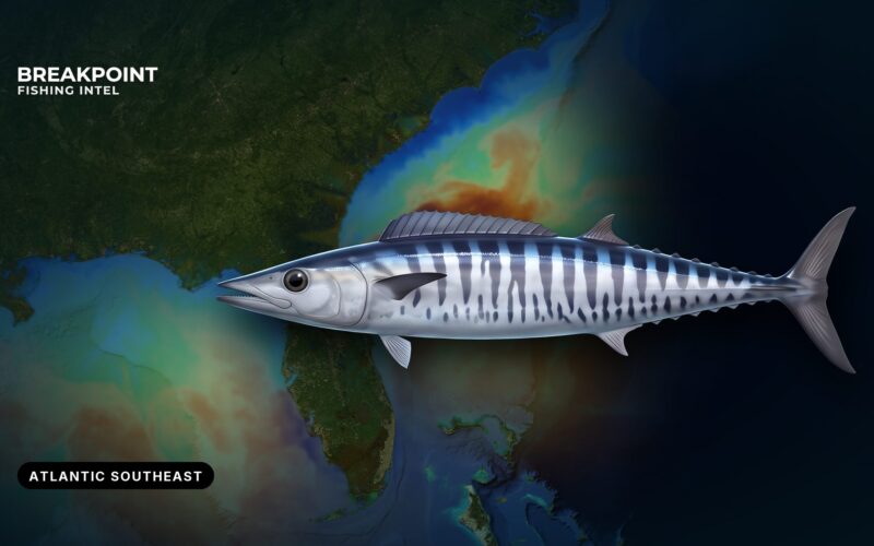 Wahoo Fishing in the Atlantic Southeast: Edges and Rules