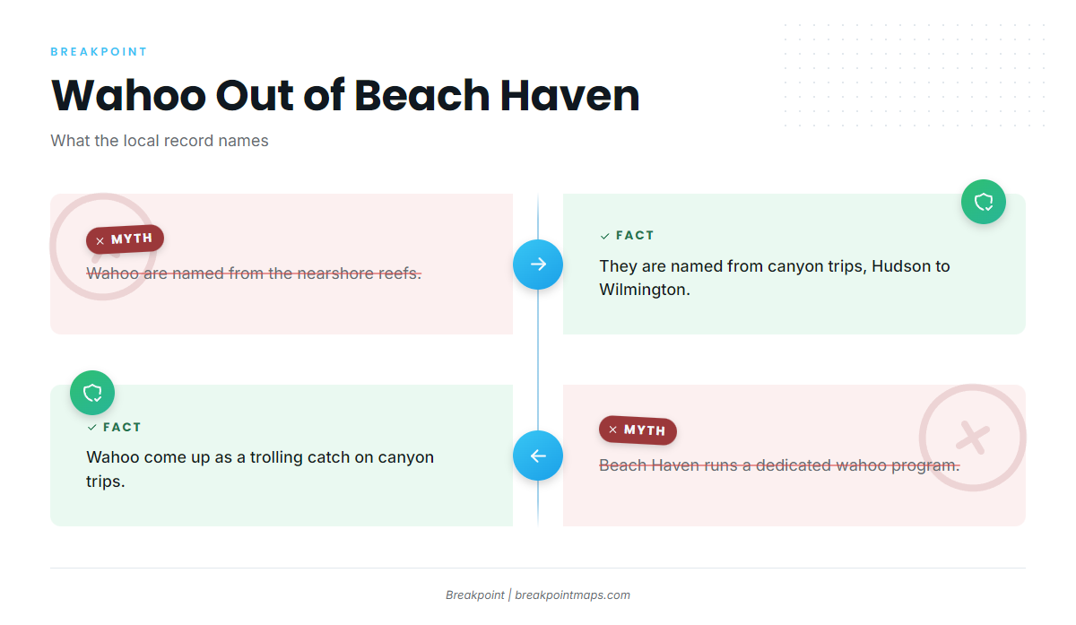 FAQ: wahoo fishing out of Beach Haven