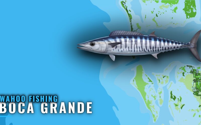 Wahoo Fishing Out of Boca Grande: Runs, Reefs, Methods
