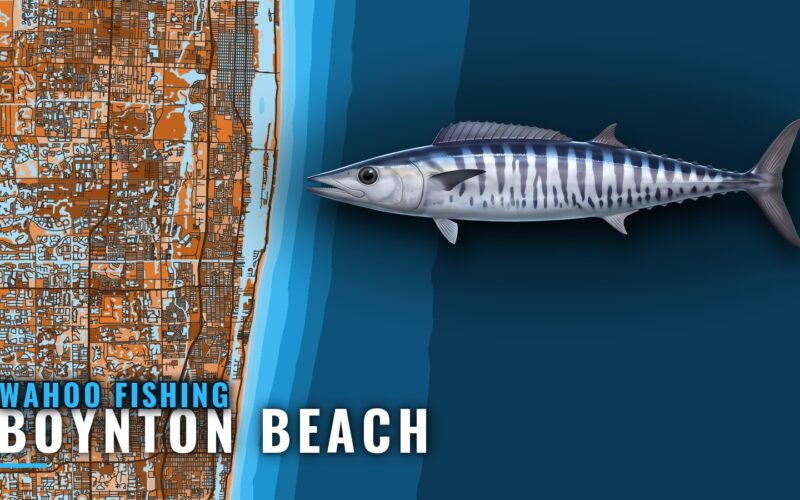 Wahoo Fishing Out of Boynton Beach: When, Where and Who
