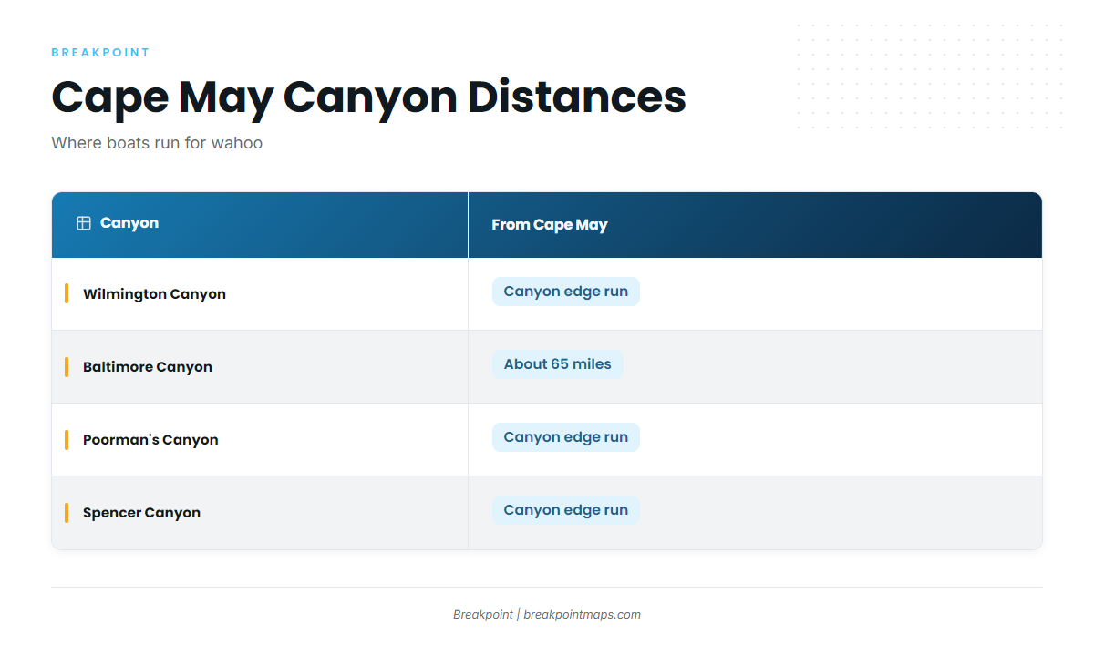 The canyons (Wahoo fishing out of Cape May)