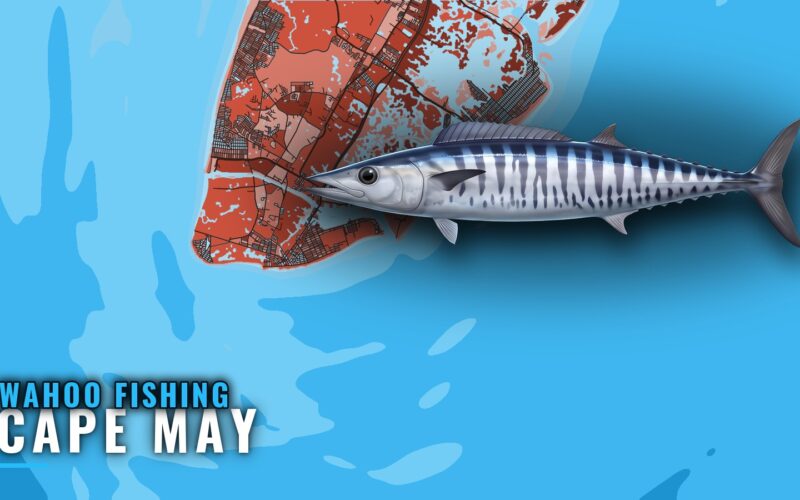 Wahoo Fishing Out of Cape May: Canyons, Season, Method
