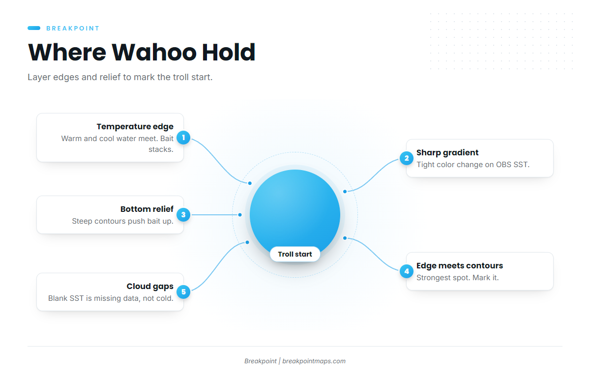 Structure that holds wahoo