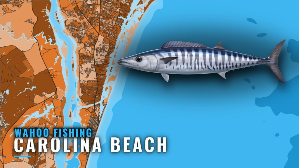 Wahoo Fishing Out of Carolina Beach: Read the Water First