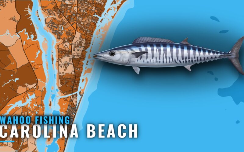 Wahoo Fishing Out of Carolina Beach: Read the Water First