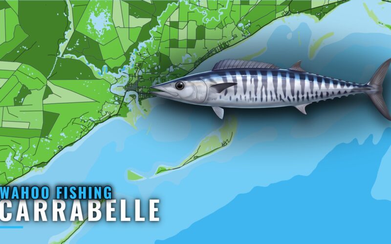 Wahoo Fishing out of Carrabelle: Reefs, Towers and Months