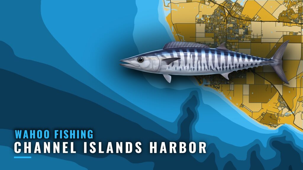Wahoo Fishing Out of Channel Islands Harbor: Where to Run