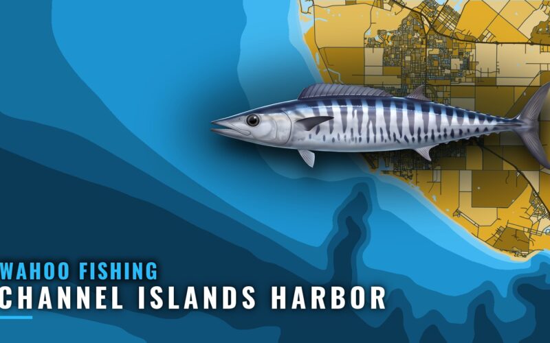 Wahoo Fishing Out of Channel Islands Harbor: Where to Run