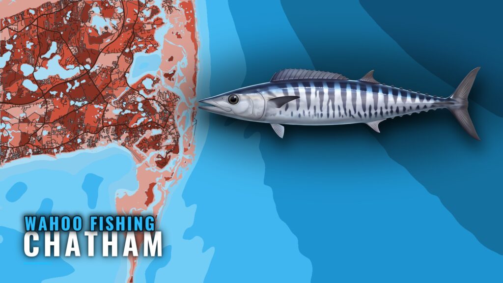 Wahoo Fishing Out of Chatham: Lanes, Buoys and Grounds