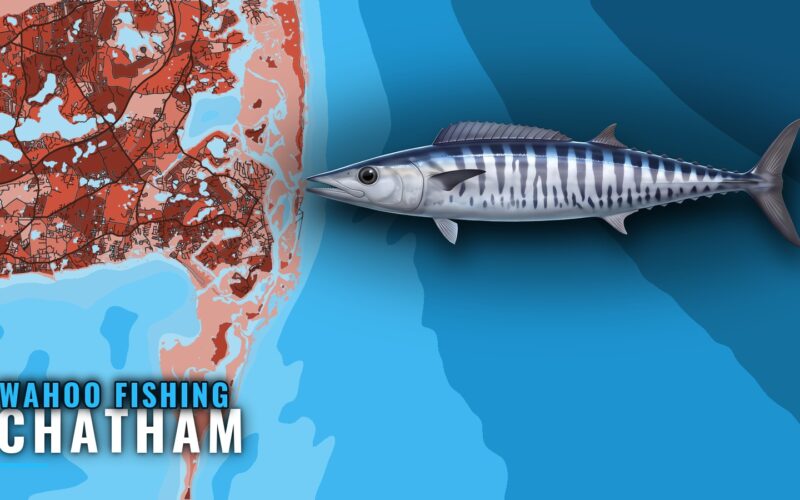 Wahoo Fishing Out of Chatham: Lanes, Buoys and Grounds