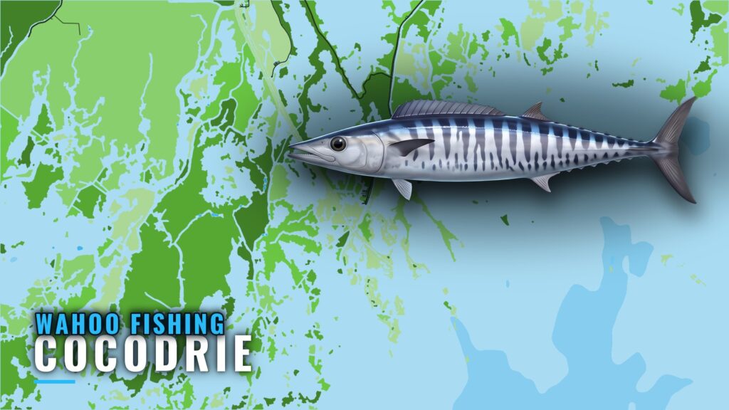 Wahoo Fishing out of Cocodrie: Grounds, Depths, Runs