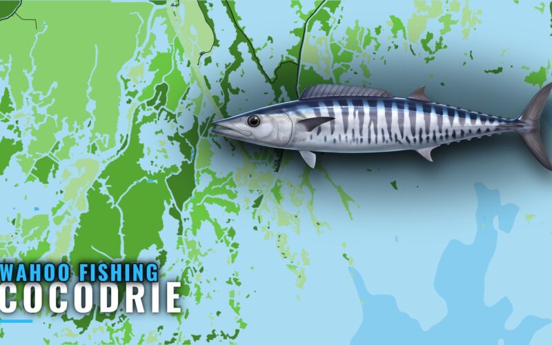 Wahoo Fishing out of Cocodrie: Grounds, Depths, Runs