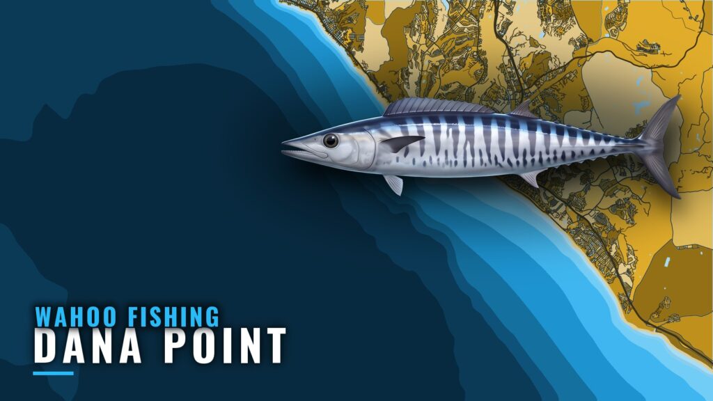 Wahoo Fishing Out of Dana Point: Summer Island Overnights