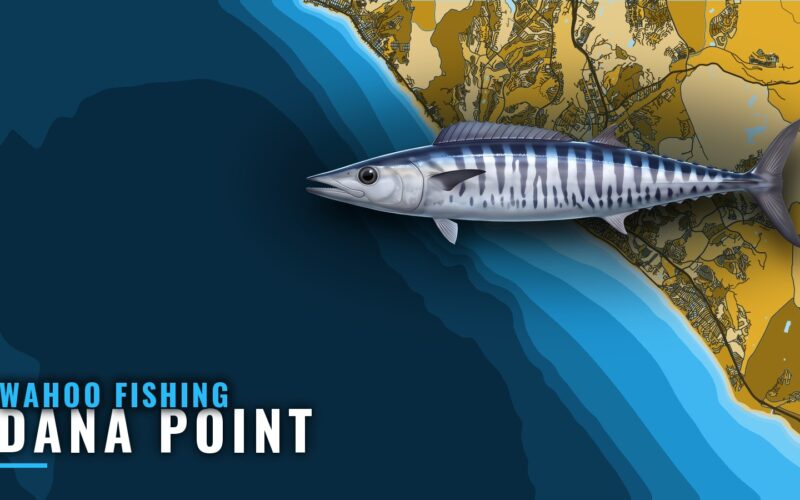Wahoo Fishing Out of Dana Point: Summer Island Overnights