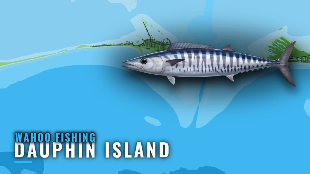 Wahoo Fishing Out of Dauphin Island: Runs, Reefs, Charter