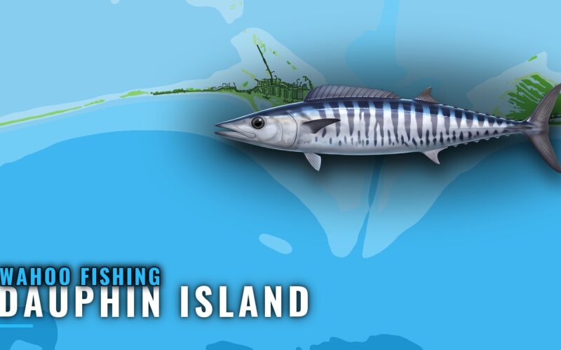 Wahoo Fishing Out of Dauphin Island: Runs, Reefs, Charter