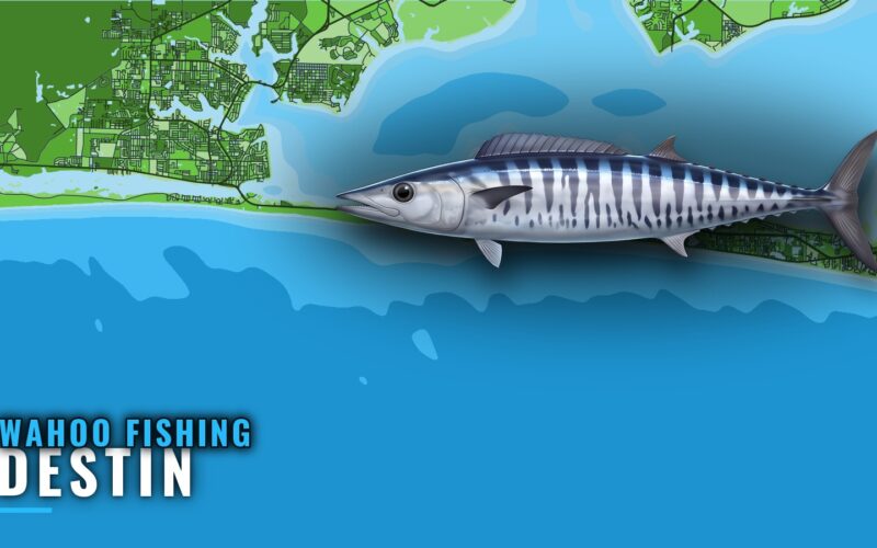 Wahoo Fishing Out of Destin: Season, Depths and Structure