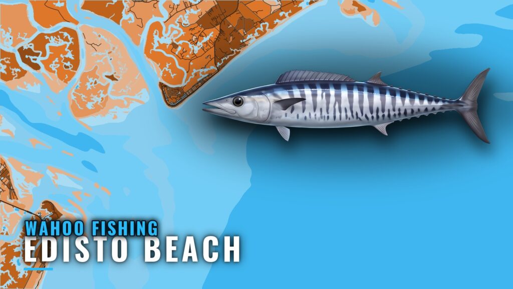 Wahoo Fishing out of Edisto Beach: Ledge, Stream, Reefs