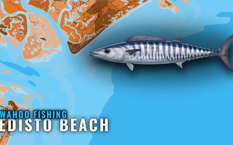 Wahoo Fishing out of Edisto Beach: Ledge, Stream, Reefs